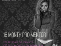 Slide #2- 18 Month Mentorship